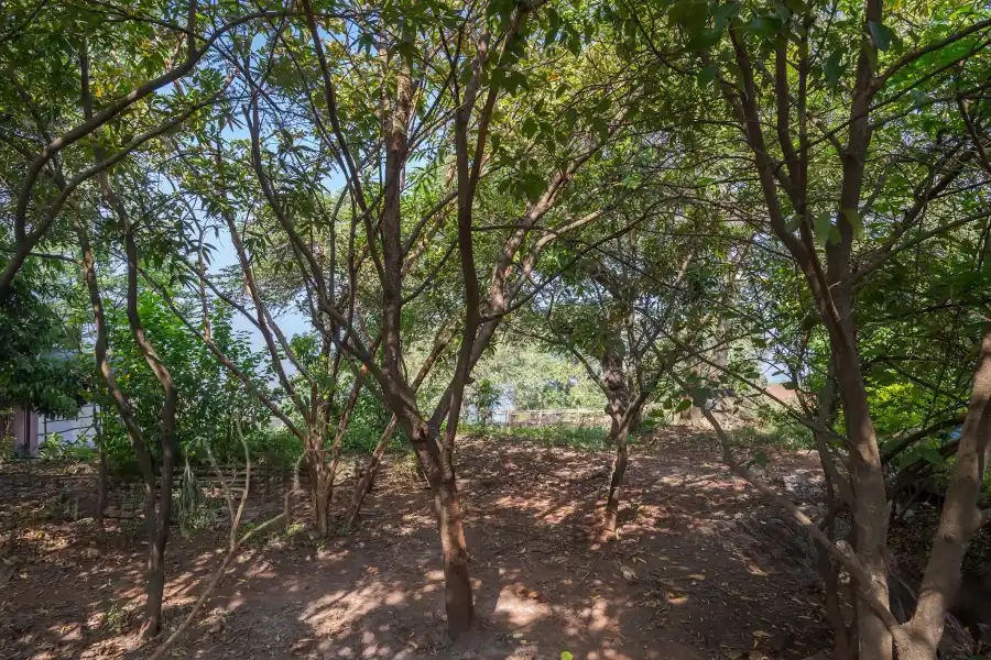 SaffronStays Hillcrest, Panchgani
