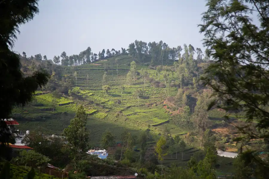 SaffronStays is, Kotagiri