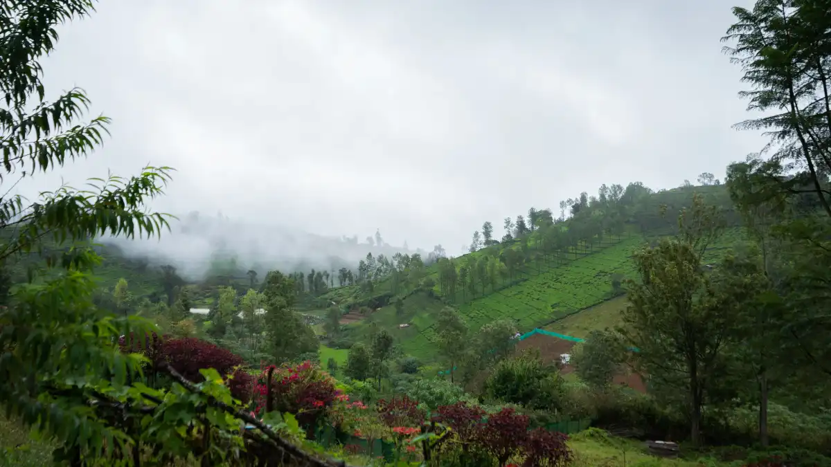 SaffronStays is, Kotagiri
