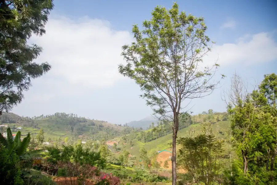 SaffronStays is, Kotagiri