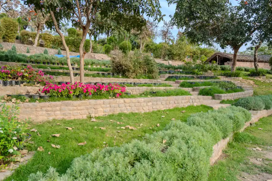 SaffronStays is, Morni Hills