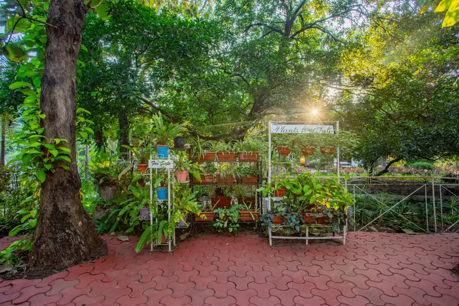 SaffronStays Kenwoods, Vikramgad