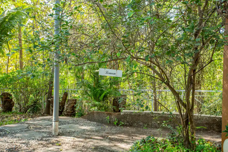 SaffronStays Kenwoods, Vikramgad
