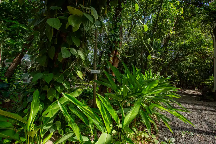 SaffronStays Kenwoods, Vikramgad