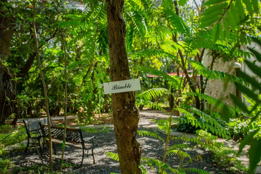 SaffronStays Kenwoods, Vikramgad