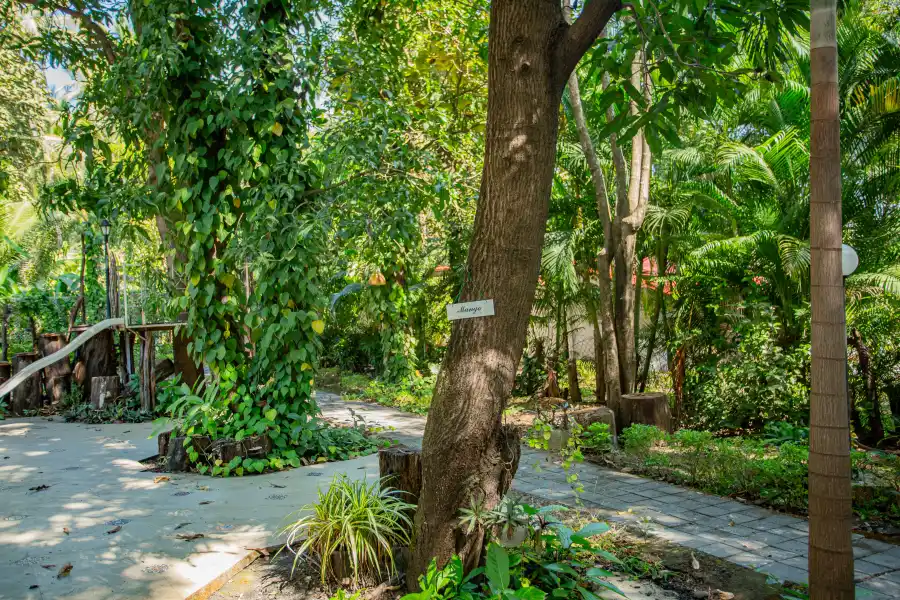 SaffronStays Kenwoods, Vikramgad