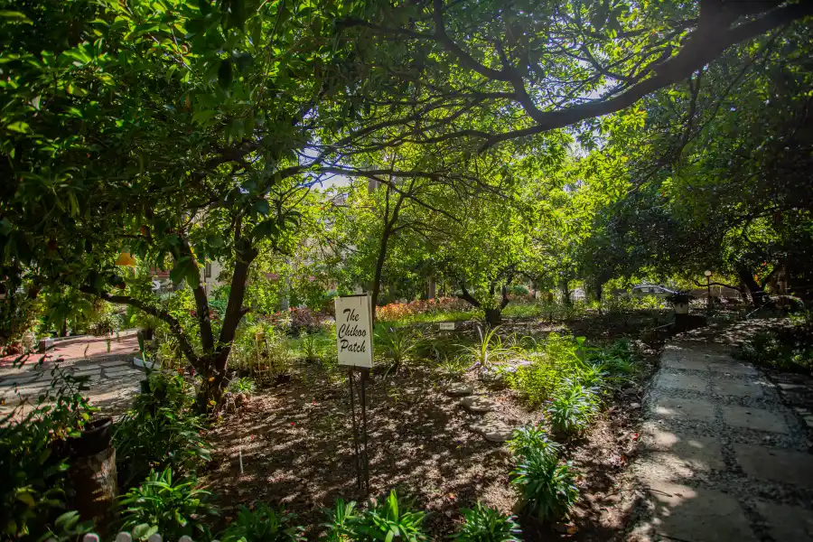 SaffronStays Kenwoods, Vikramgad