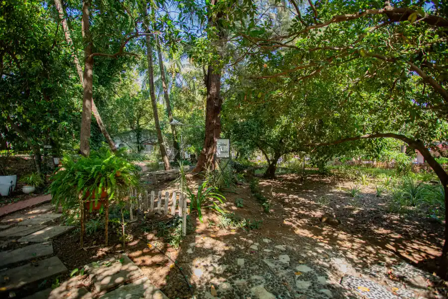 SaffronStays Kenwoods, Vikramgad