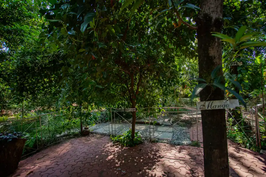 SaffronStays Kenwoods, Vikramgad
