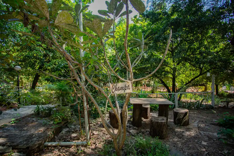 SaffronStays Kenwoods, Vikramgad