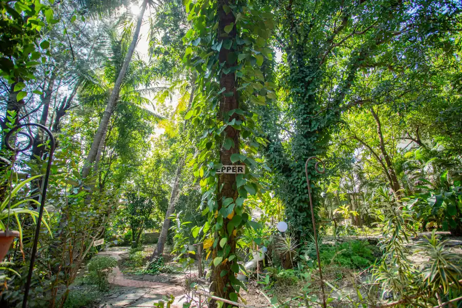 SaffronStays Kenwoods, Vikramgad
