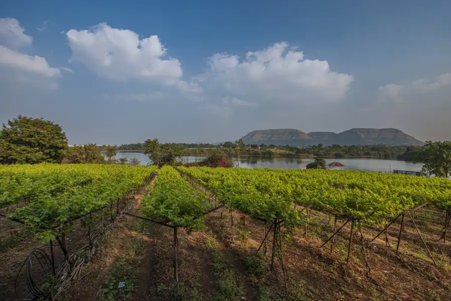 SaffronStays Lake House, Nashik