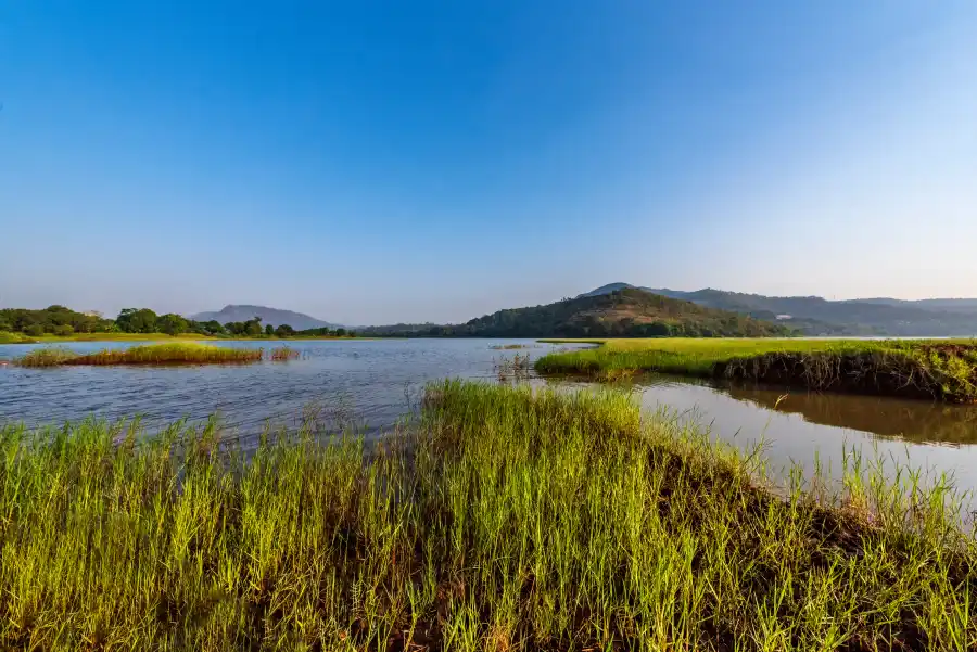 SaffronStays Lakeview Nivara, Pune