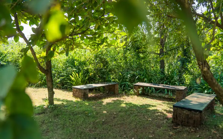 SaffronStays Mango Huts, Pali