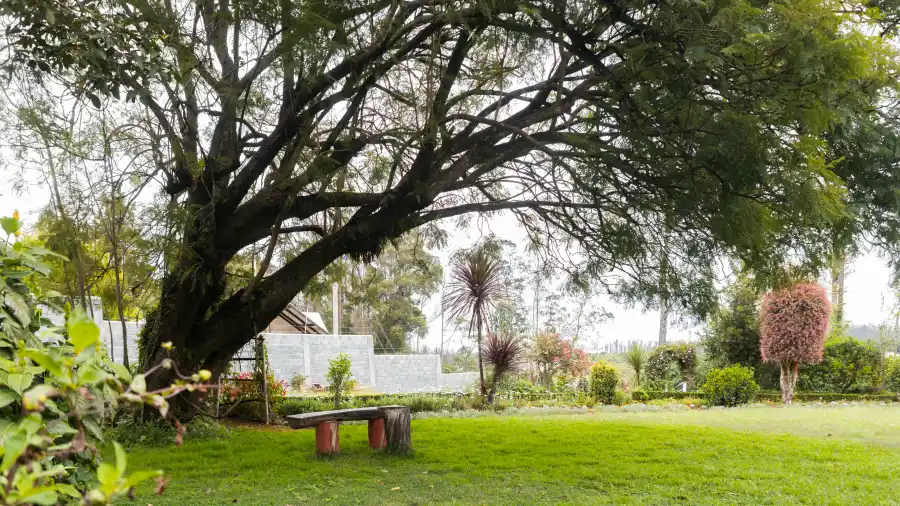 SaffronStays Milton Abbott, Ooty
