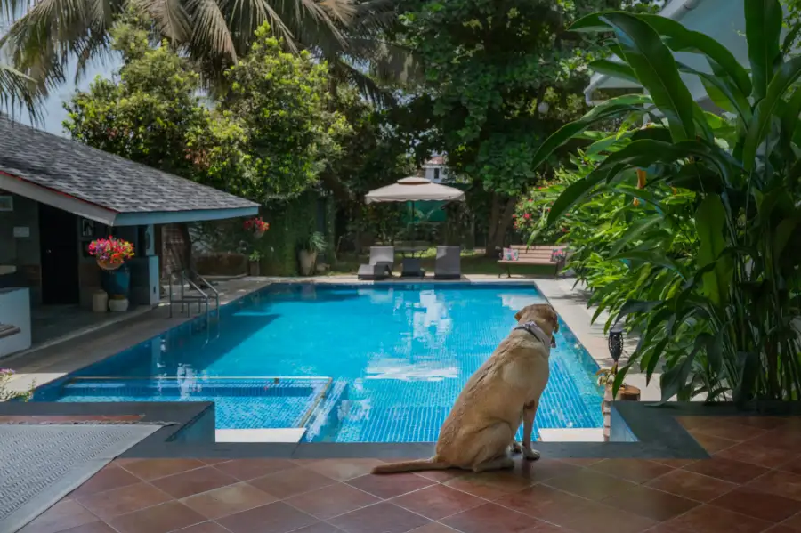 SaffronStays Osaree, Alibaug