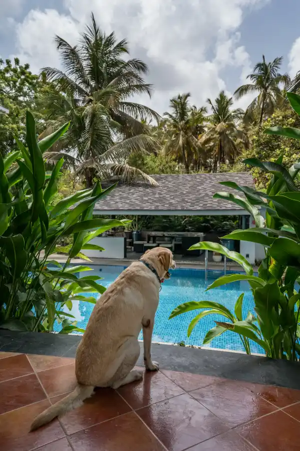 SaffronStays Osaree, Alibaug