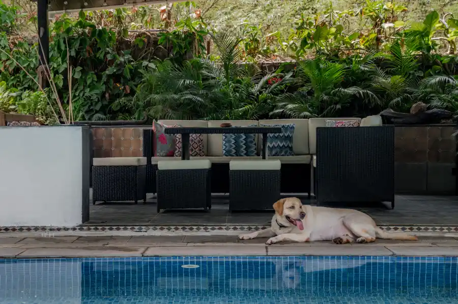 SaffronStays Osaree, Alibaug
