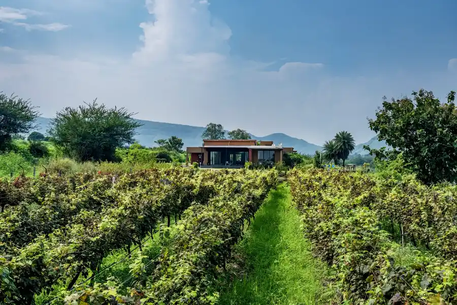 SaffronStays Rose Vineyard, Nashik