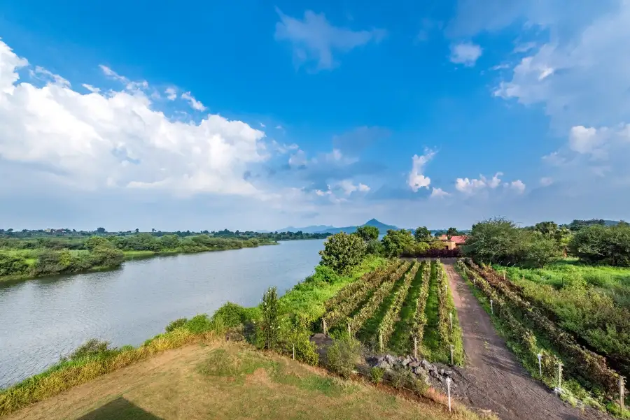 SaffronStays Rose Vineyard, Nashik