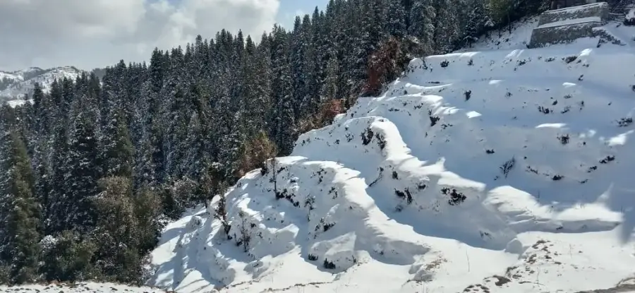 SaffronStays Rosly Estate, Mussoorie