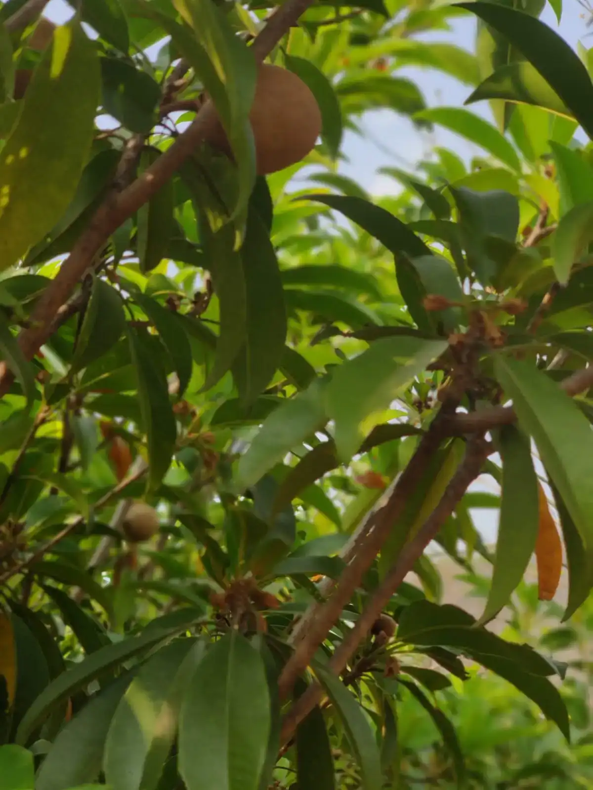 SaffronStays SanvinaFarm, Karjat