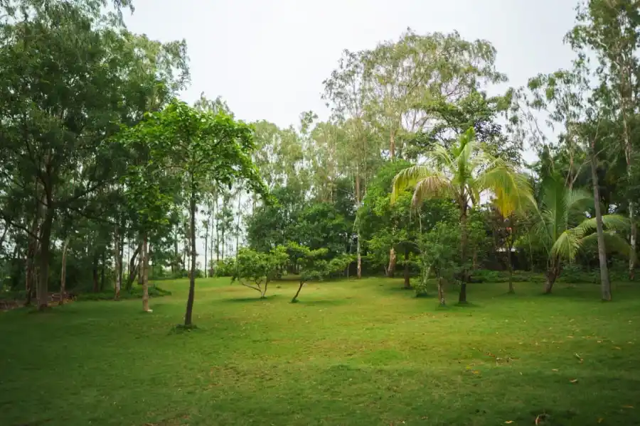 SaffronStays Sommeliers Choice, Nashik