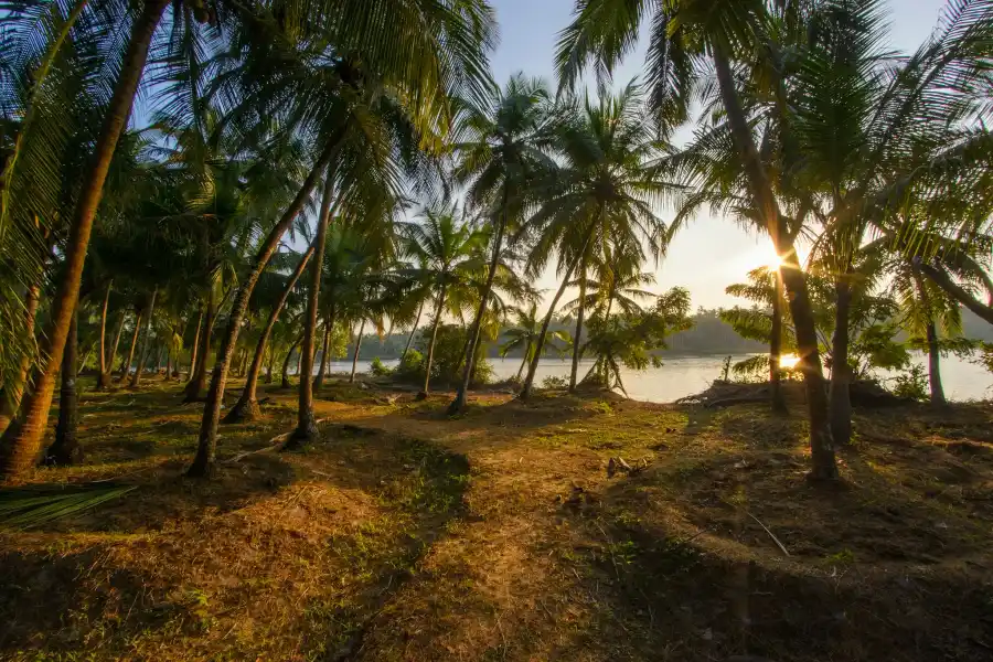 SaffronStays Suvarna Sangam, Udupi