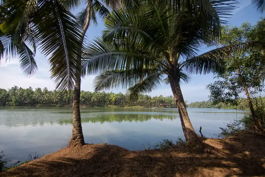 SaffronStays Suvarna Sangam, Udupi