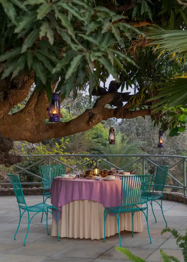 SaffronStays Sylvan Farms, Mount Abu