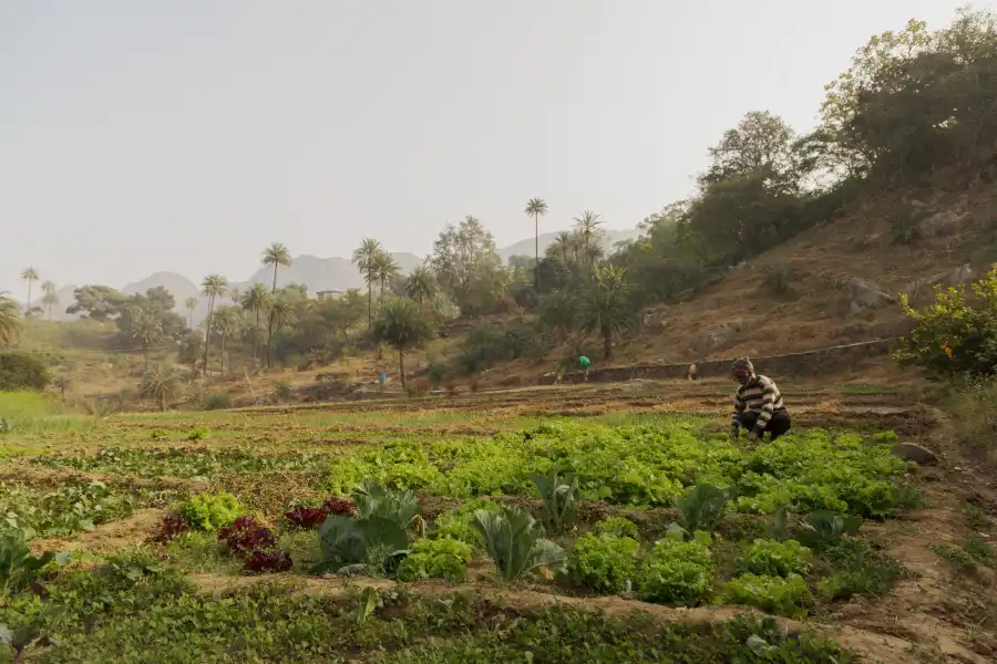 SaffronStays Sylvan Farms, Mount Abu