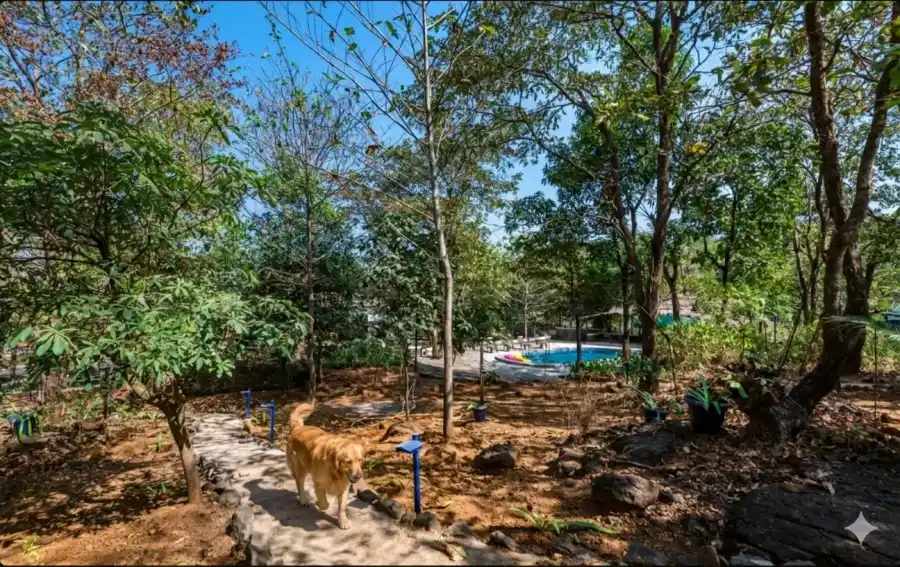SaffronStays Terra Soul, Khopoli