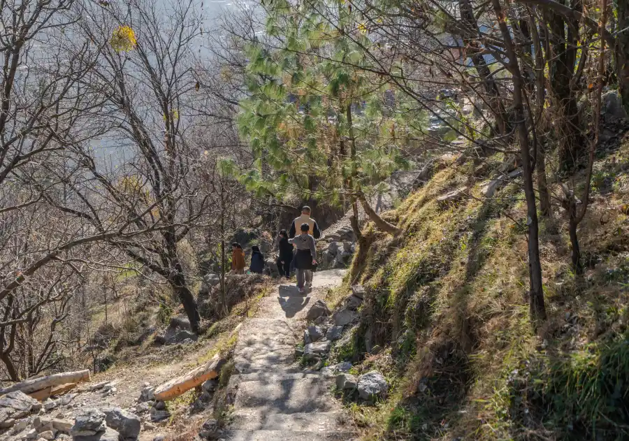 SaffronStays The Tirthan, Tirthan Valley