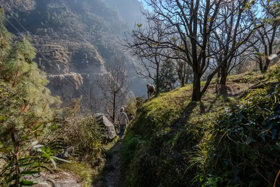 SaffronStays The Tirthan, Tirthan Valley