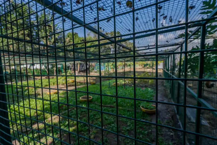 SaffronStays Timber Quest, Dehradun