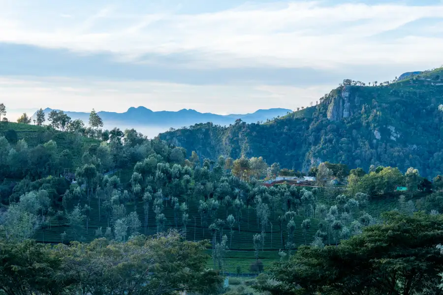 SaffronStays Valleyfall, Kotagiri