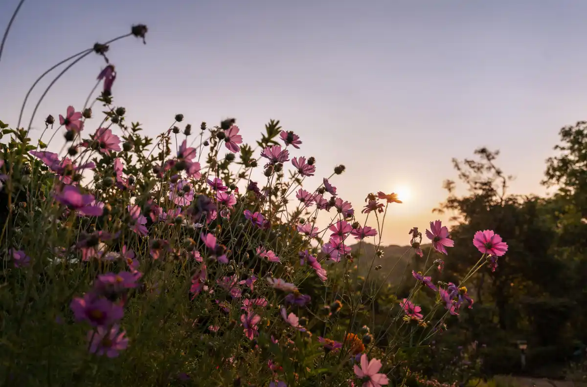 SaffronStays Vinayalam, Mahabaleshwar
