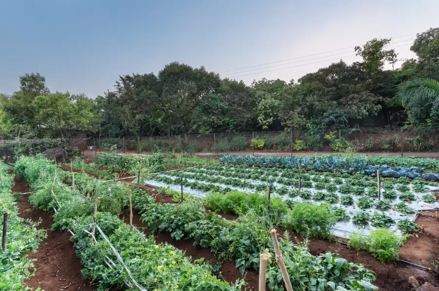 SaffronStays Vinayalam, Mahabaleshwar