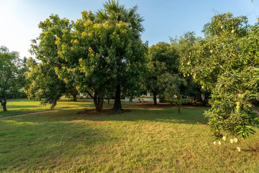 SaffronStays Yutori, ECR, Chennai