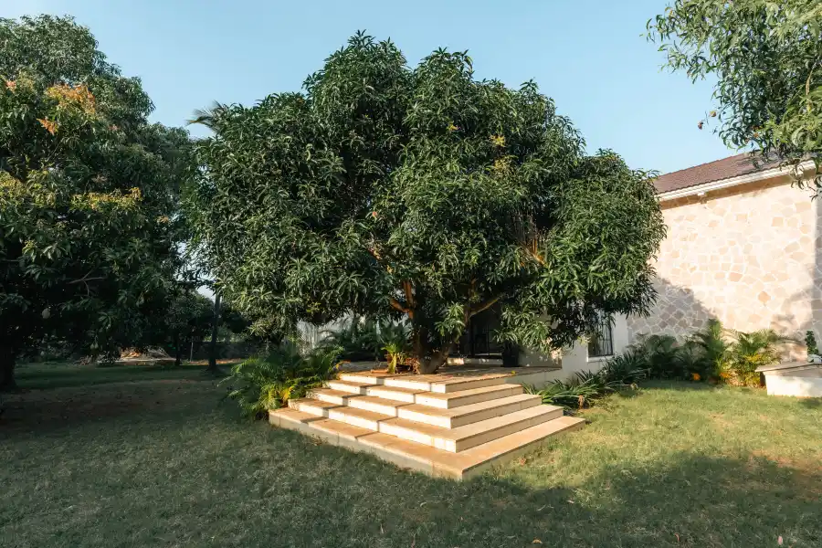 SaffronStays Yutori, ECR, Chennai