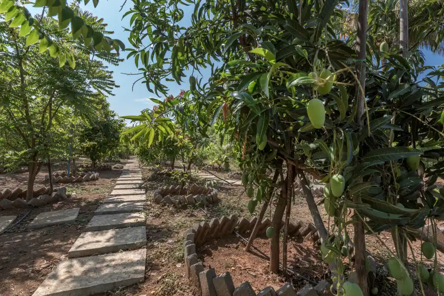 SaffronStays Zuma Villa, Pawna