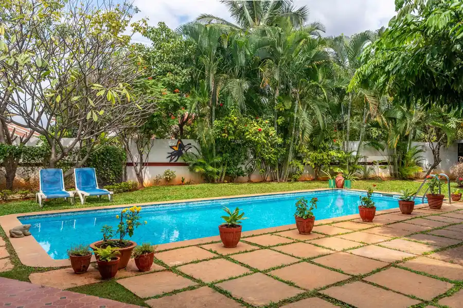 Safire @ Firefly Homestay, Bangalore