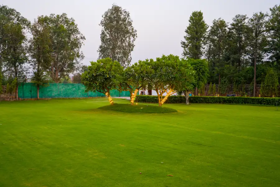 Sanisa Farm, Delhi NCR