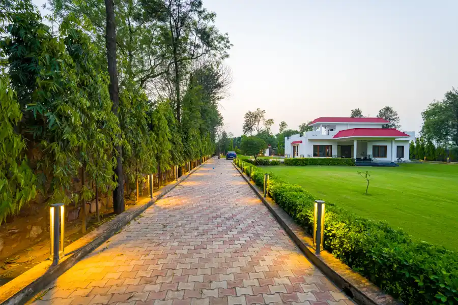 Sanisa Farm, Delhi NCR
