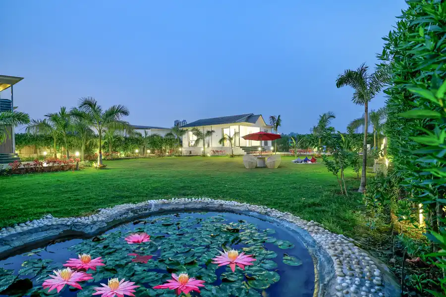 Saroja Farm, Delhi NCR