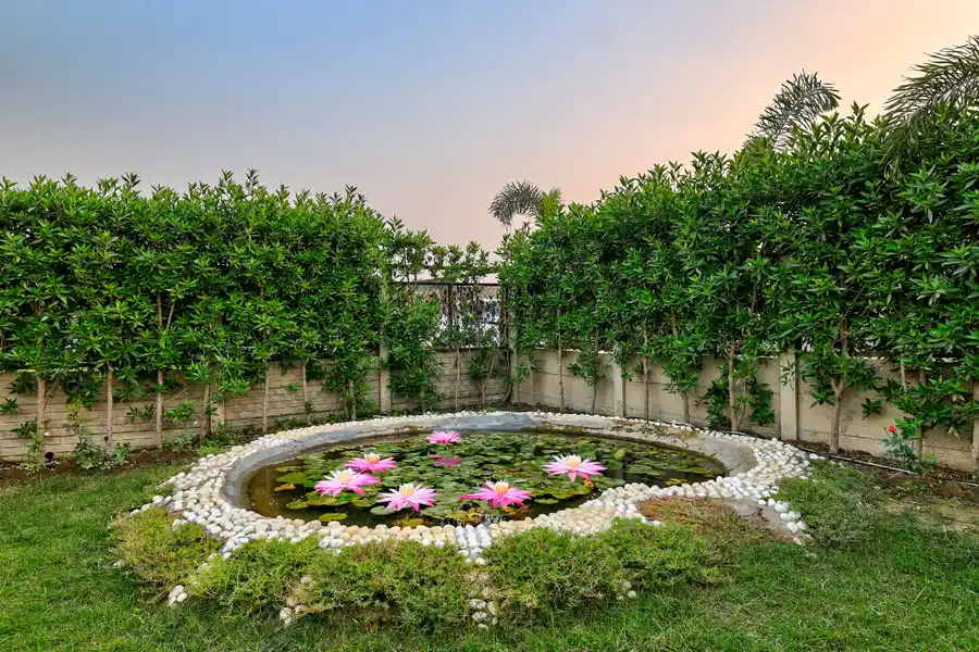 Saroja Farm, Delhi NCR
