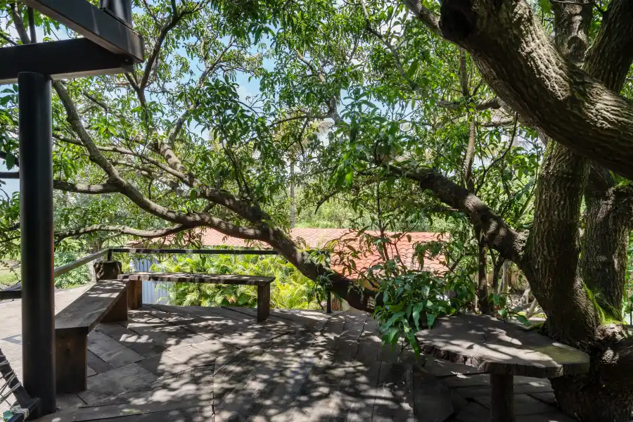 Secret Canopy by the Lake, Nashik