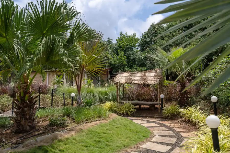 Secret Canopy by the Lake, Nashik