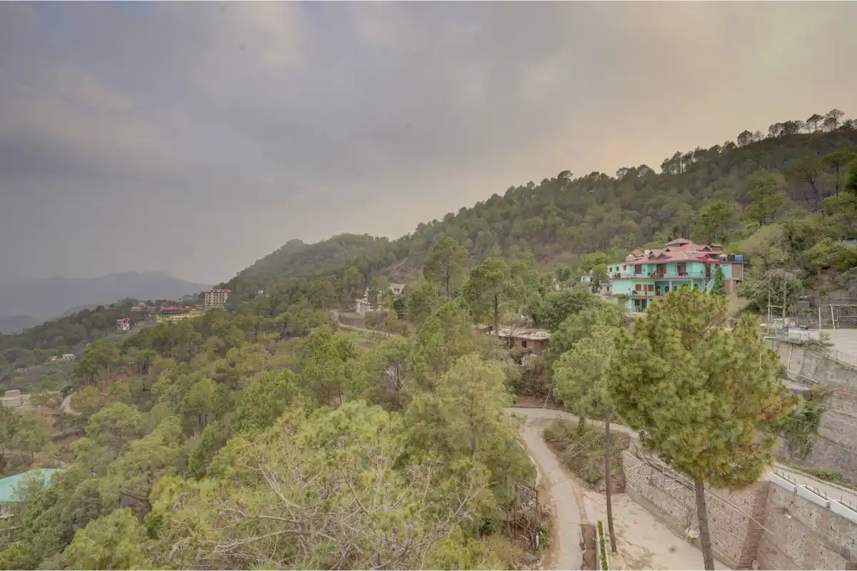 Serene Woods Hotel, Kasauli