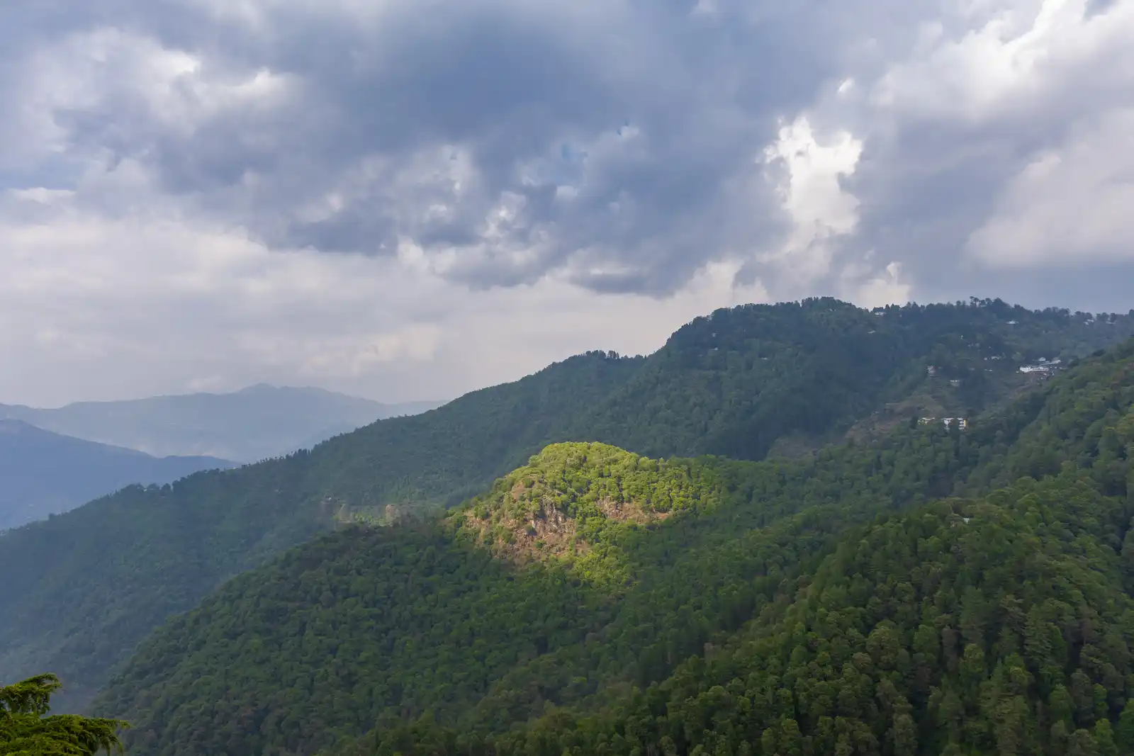 Snowdrop Glamps, Mussoorie